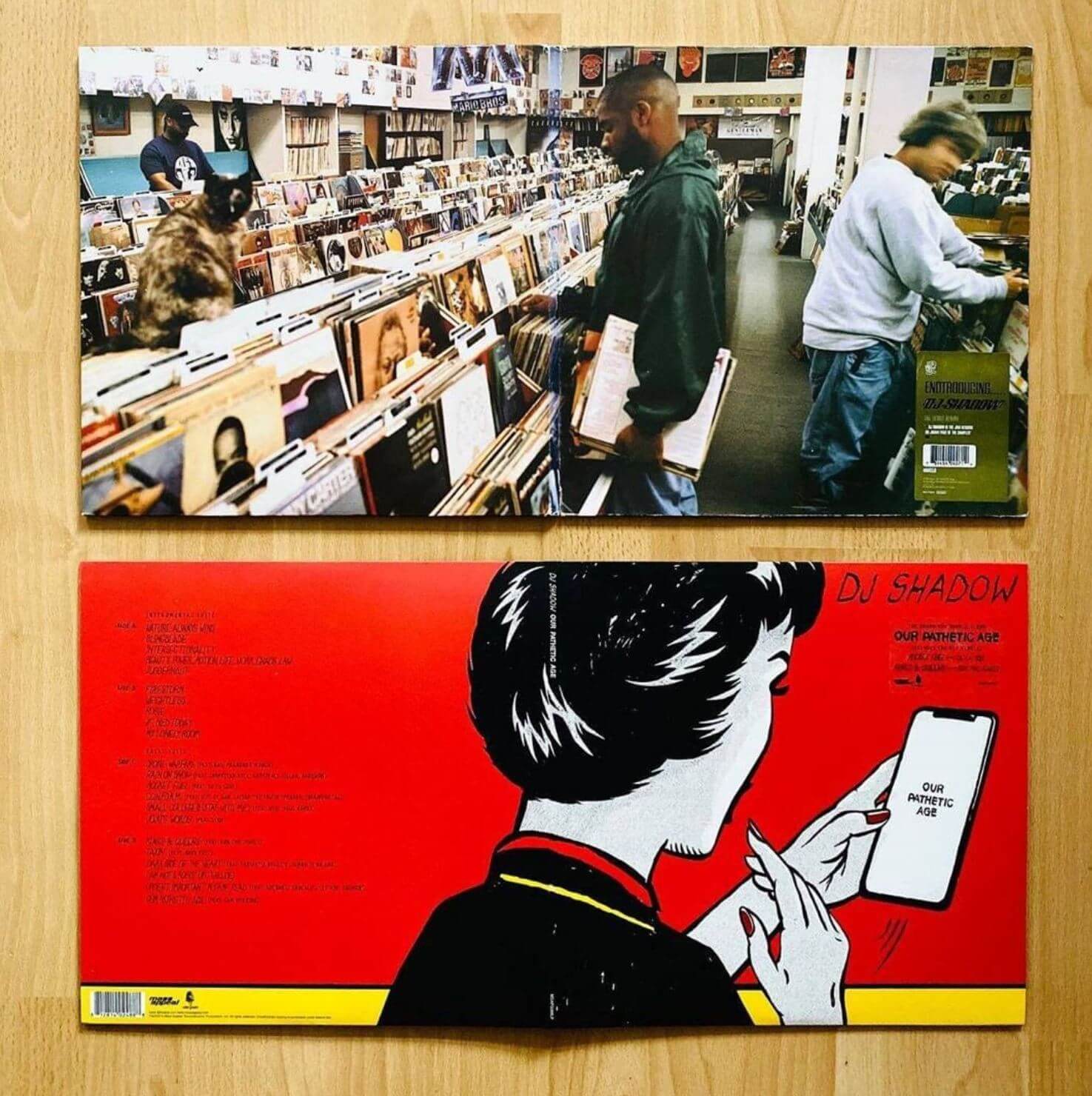 endtroducing and pathetic age album covers